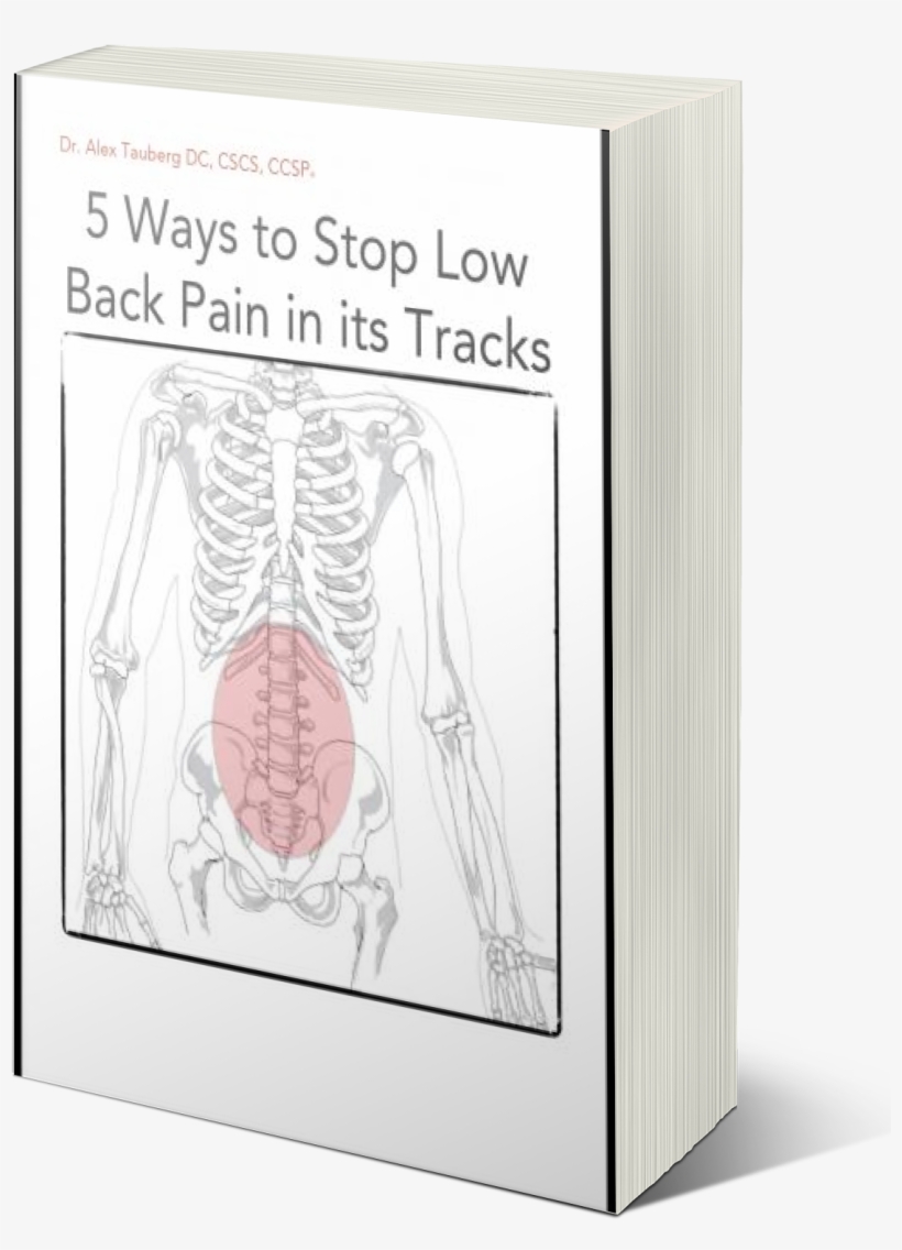 Low Back Pain Ebook - Human Skeleton, transparent png #4067437