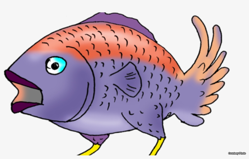 Pescado Con Plumas, Cortesía De Primavera Digital - Pollo Por Pescado, transparent png #4067458