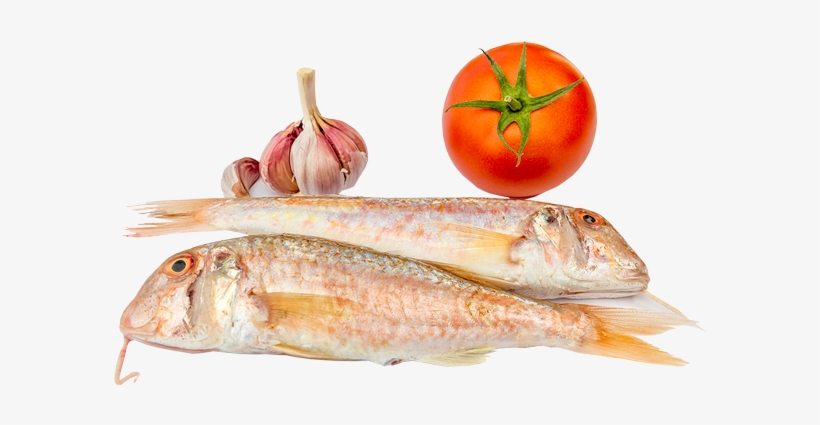Pescado - Cullera, transparent png #4067506