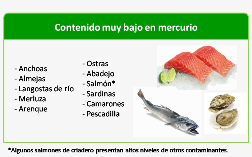 Durante El Embarazo, ¿qué Tipo De Pescado Se Puede - Puedo Comer Durante La Lactancia, transparent png #4067546