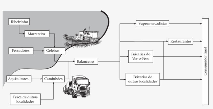 Cadeia De Suprimentos Simplificada Do Mercado De Pescado - Cadeia Produtiva Do Pescado, transparent png #4067618
