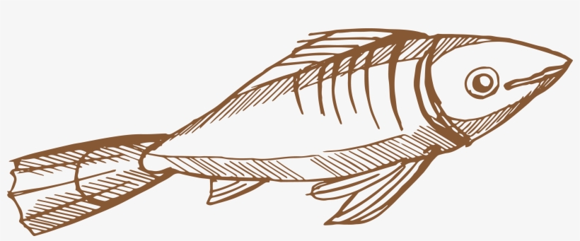 Pescado - Illustration, transparent png #4067690