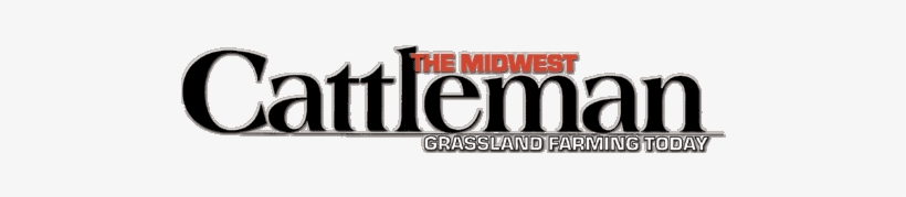 Sponsors - Carnival Cruise Line, transparent png #4069265