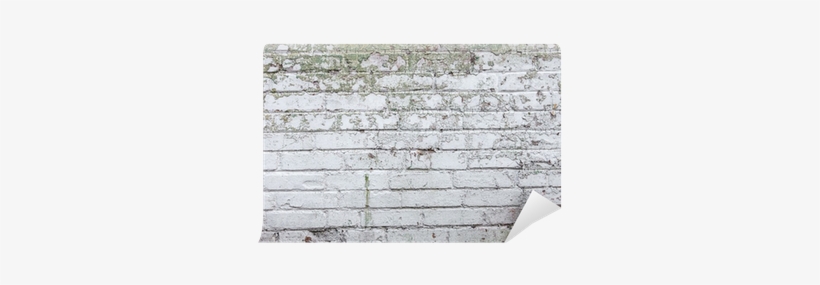 Wallet, transparent png #4069489