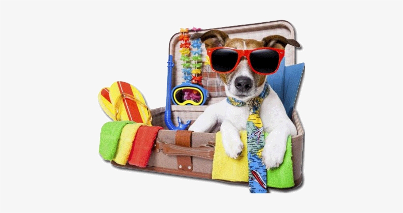 Perro Y Maleta - Poster: Brosch's Summer Holiday Dog, 61x46cm., transparent png #4070095