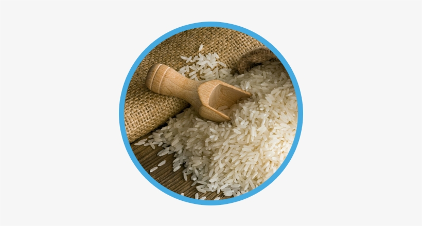 Museo Del Arroz - Plastic Rice In Pakistan, transparent png #4070328