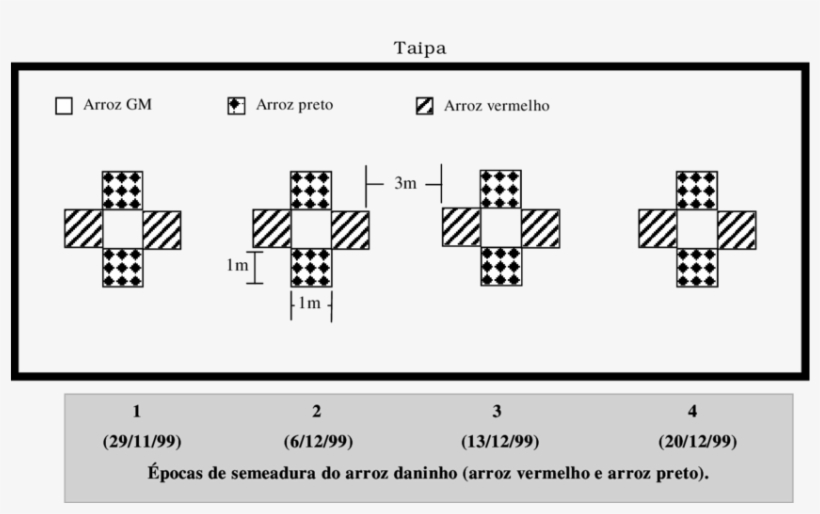 -croqui Do Experimento Instalado No Campo Para Estudo - Science, transparent png #4070485