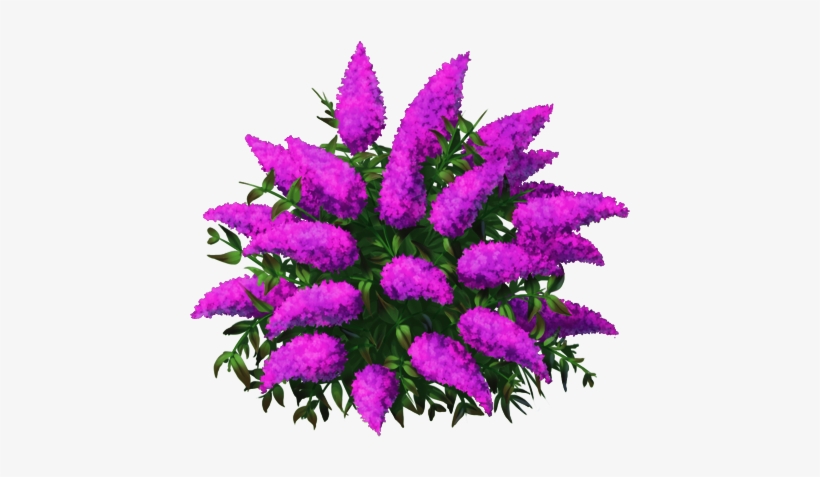 Butterflybushblue3 - Flower, transparent png #4070906