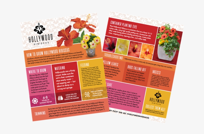 Need Help Growing And Caring For Your Plants - Email, transparent png #4071008