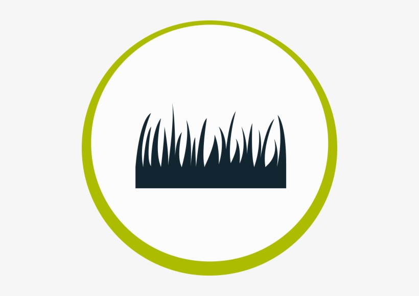 Drystock - Agrisea Nz, transparent png #4071537