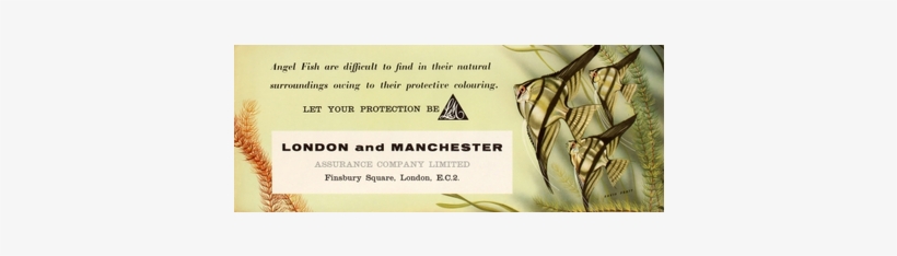 For Sale - Honeybee, transparent png #4071644