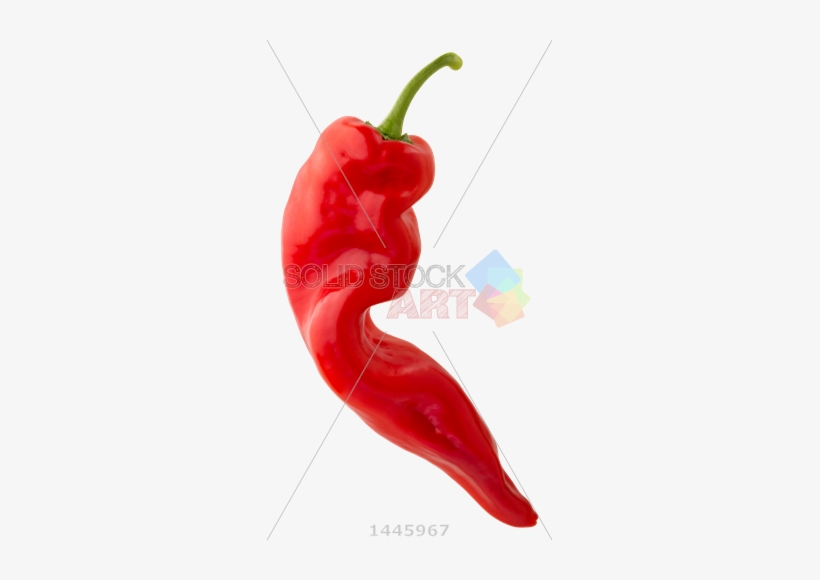 Stock Photo Of Twisted Red Sweet Chili Pepper On Transparent - Stock Photography, transparent png #4072263