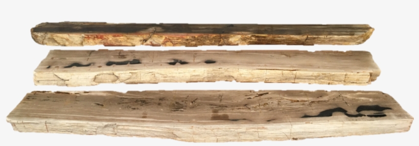 Petrified Wood Fireplace Mantels And Large Shelves - Petrified Wood Png, transparent png #4073034
