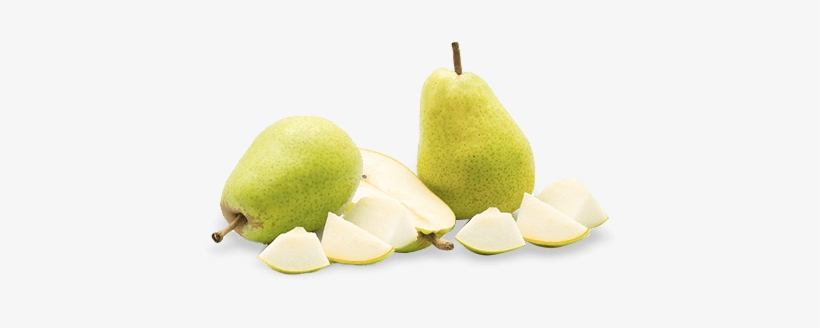 Asian Pear, transparent png #4073214