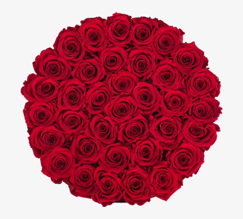 Prev - New York City, transparent png #4073399