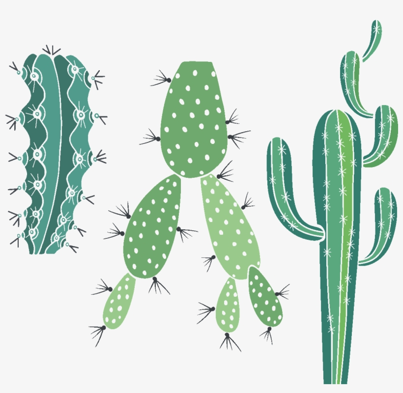 Sticker Boheme 3 Cactus Piquants Ambiance Sticker Col - Eastern Prickly Pear, transparent png #4073418