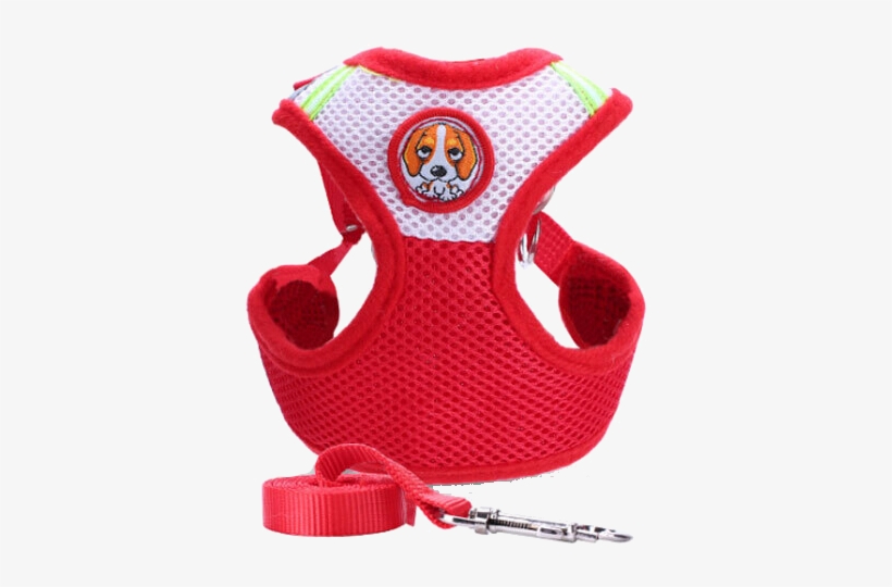 Pedijoy Dog Chest Back Traction Rope Chest Straps Tied - Dog, transparent png #4073518