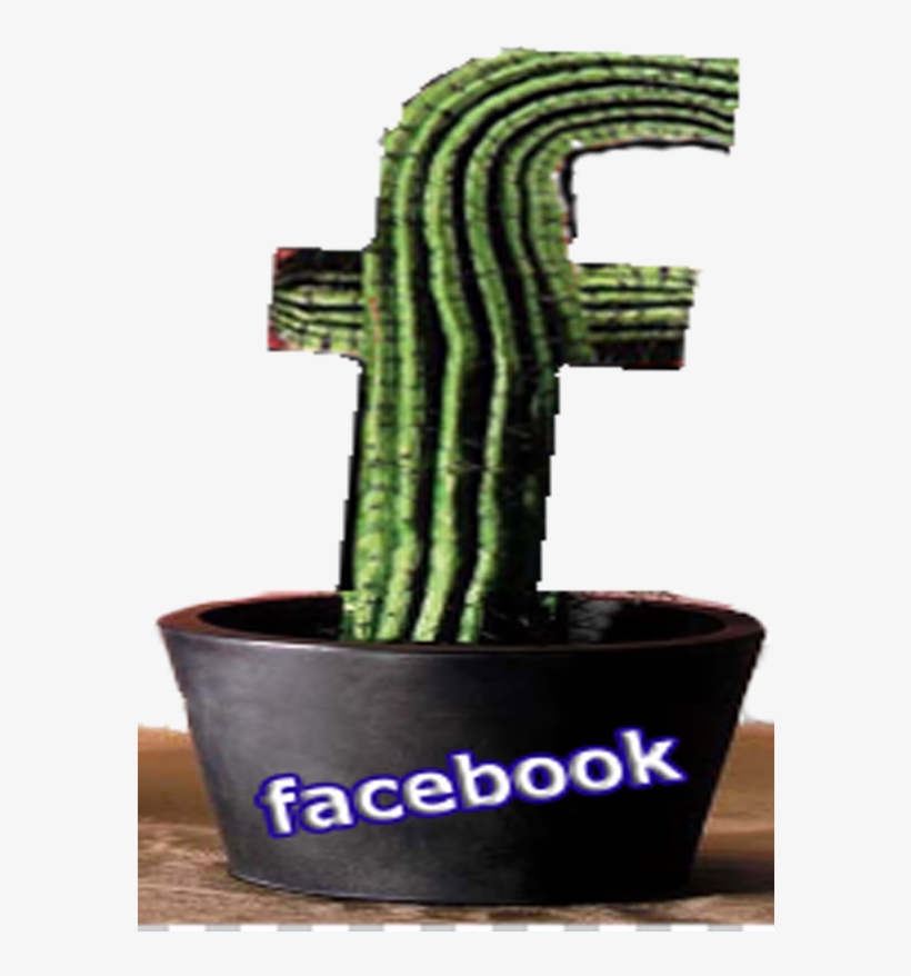 Contact - Weberocereus, transparent png #4073856