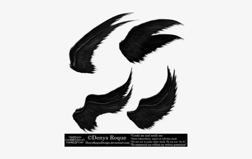 Alas Negras Png, transparent png #4073860