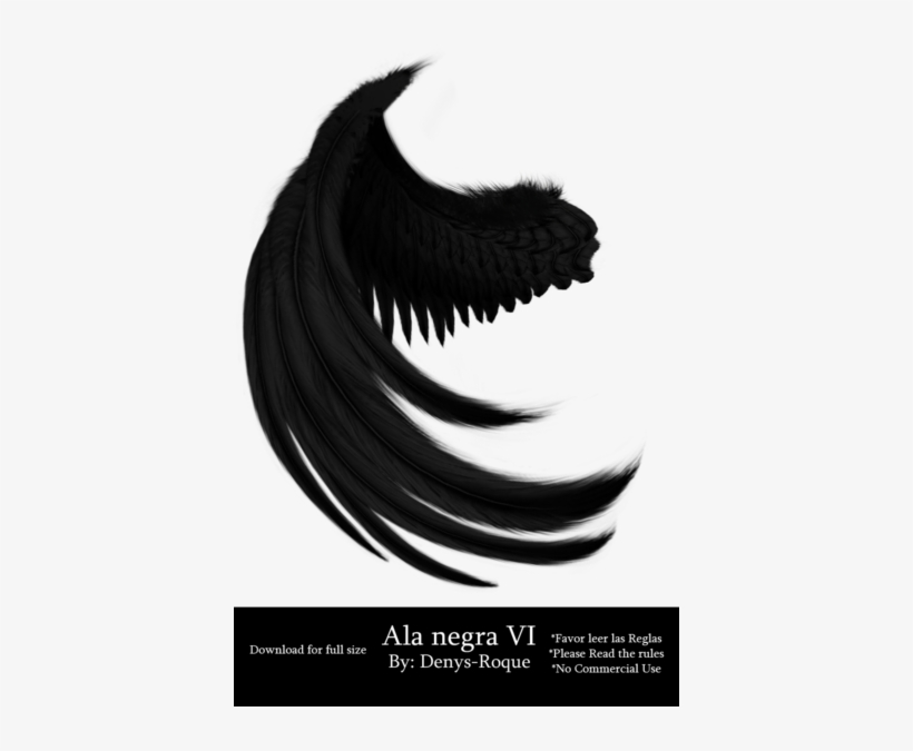 Ala Negra 6 Por Denys Roque Por Denysroquedesign Alas - Alas Negra, transparent png #4073921