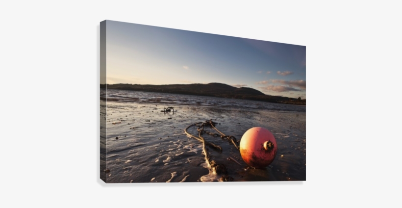 Dumfries, Scotland - Mudflat, transparent png #4073984