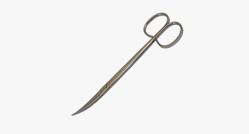 Tesoura Cirúrgica Fina/fina Curva - Surgery, transparent png #4075362