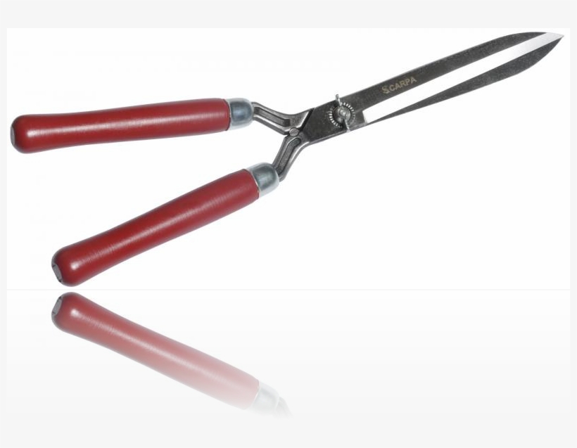 Tesoura Para Poda De Cerca-viva Carpa - Wire Stripper, transparent png #4075383
