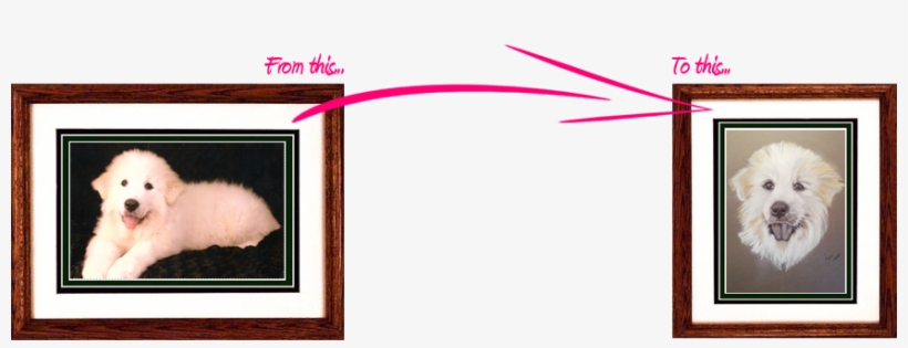 Pet Portraits, Hand Drawn By Jennie Ninnim - Picture Frame, transparent png #4075736