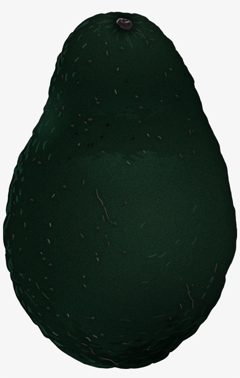 Both Vitamin B6 And Pantothenic Acid Help The Body - Baltic Clam, transparent png #4076146