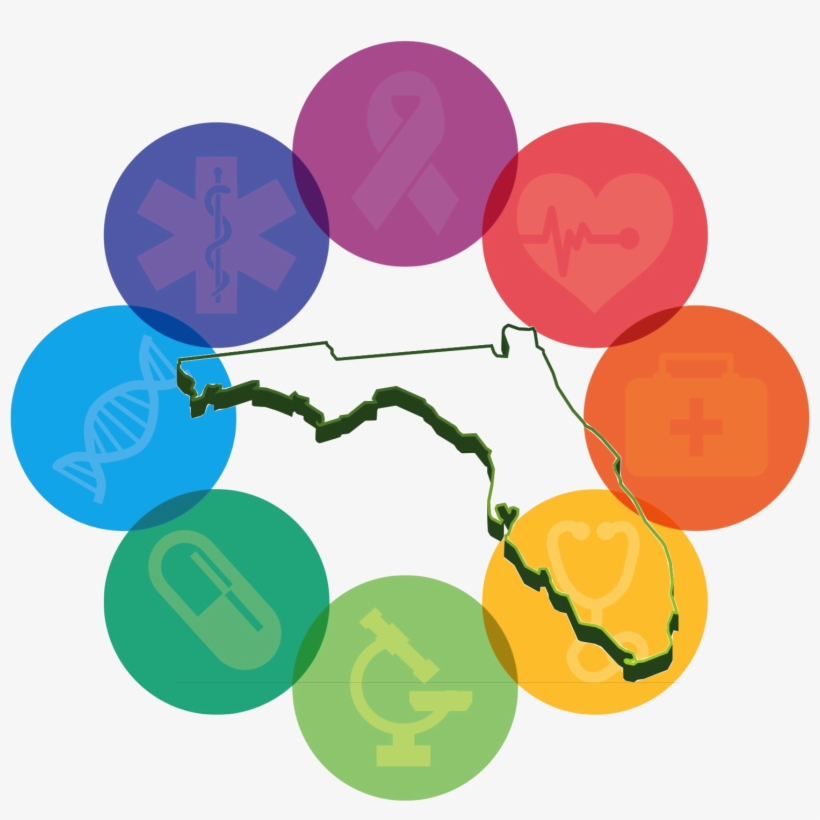 Florida Medical Circle - Medicine, transparent png #4076209