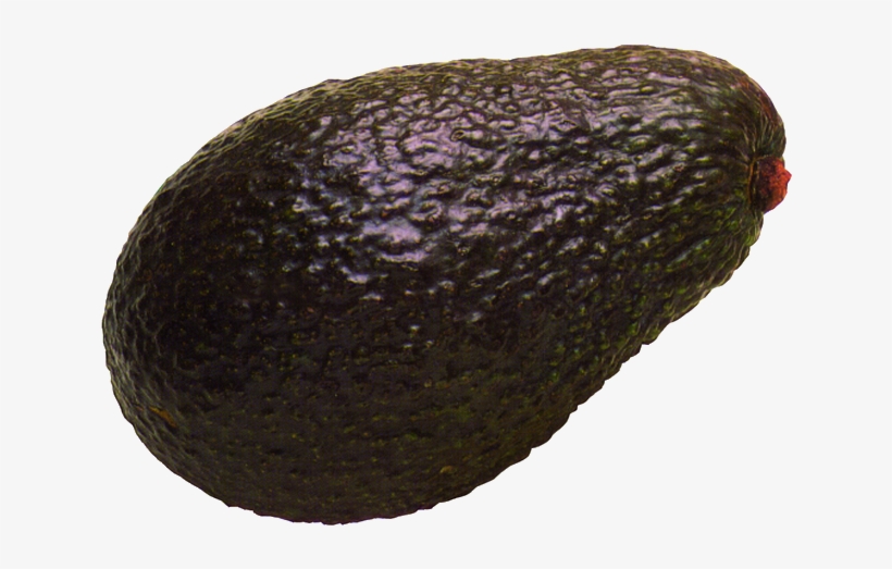 Avocado, transparent png #4076210