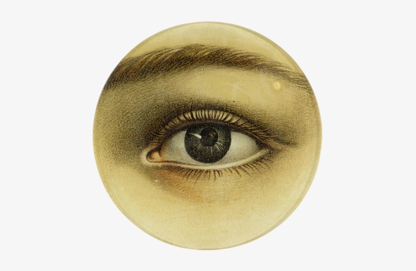 Eye - John Derian Eye, transparent png #4076267