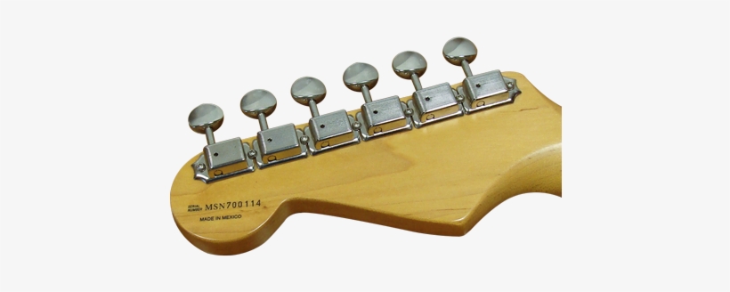 Mexican Fender Signature Serial Number - Fender Serial Number, transparent png #4076447
