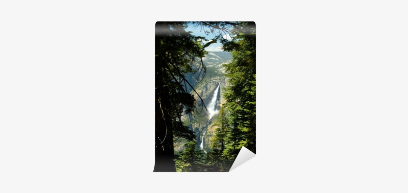 Woodland, transparent png #4076501