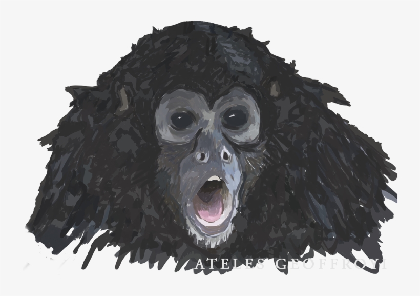 Viejo Verde - Hot - Bird, transparent png #4076833