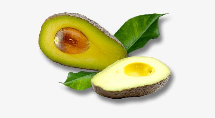 Bannerimage - Food, transparent png #4076861