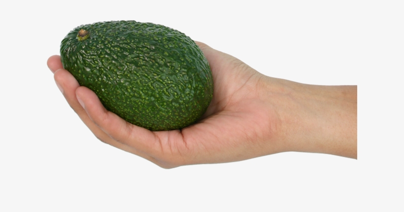 Anterior Siguiente - Avocado, transparent png #4076926