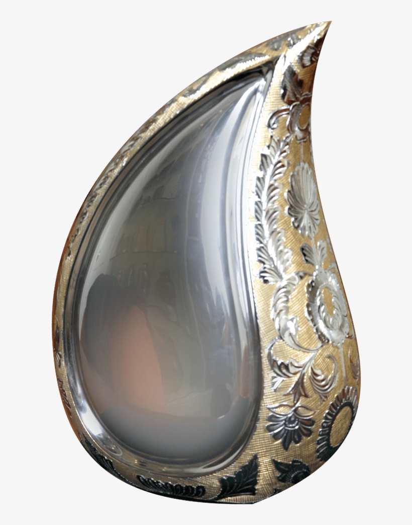 Cremation Society Of New Hampshire, transparent png #4076931