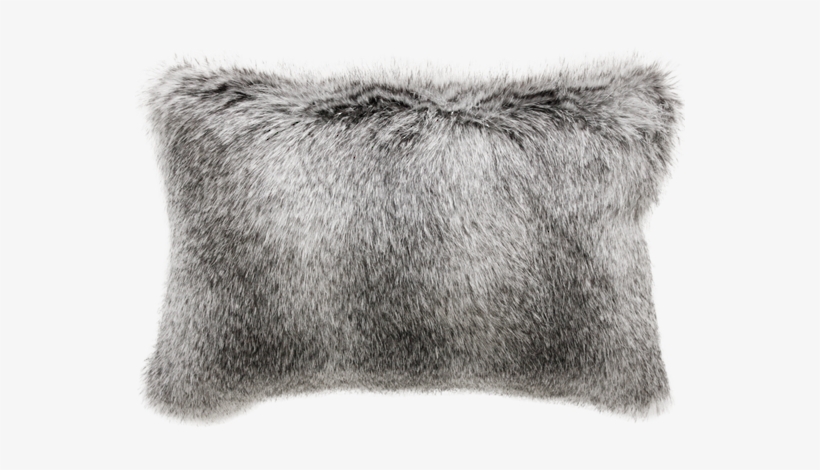Fgwc30 Grey Wolf - Cushion, transparent png #4076932