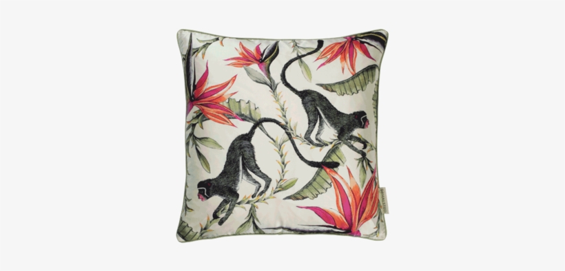 Cushion, transparent png #4077048
