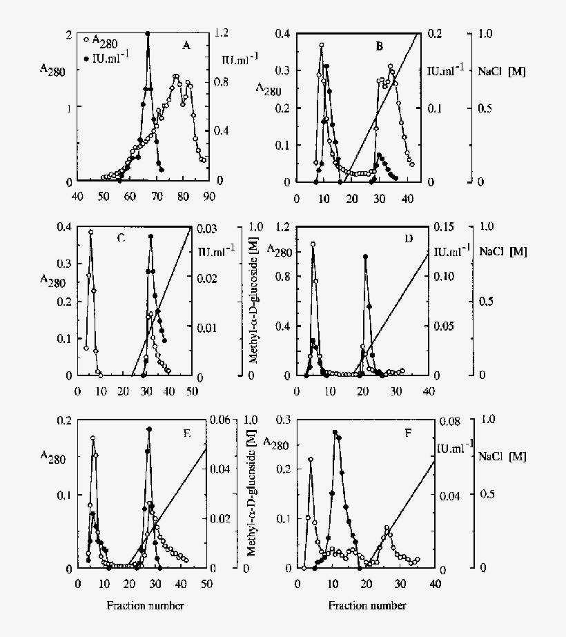 Purification Of Arabinofuranosidases I And Ii From - Diagram, transparent png #4077247