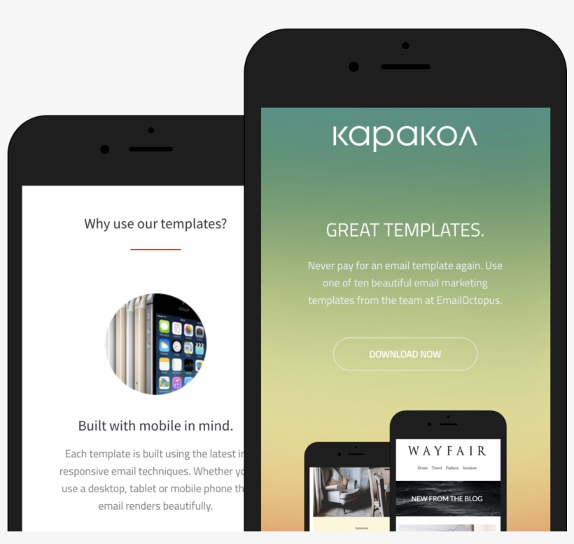 Karakol - Emailoctopus Templates, transparent png #4078393