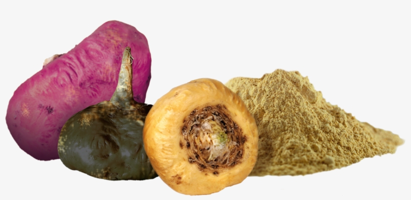 Black Maca Organic Raw Powder Is One Of The Top Superfoods - Raw Organic Yellow Maca Powder 1lb, transparent png #4078899