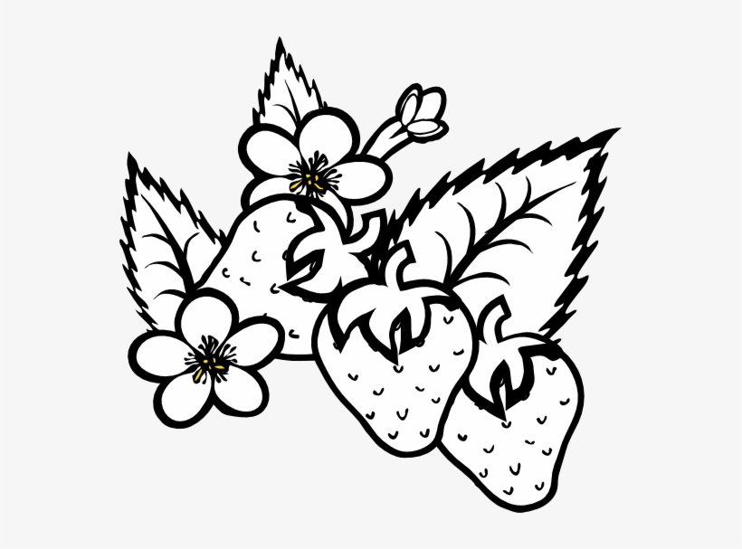 Strawberry Plant Black And White, transparent png #4079415