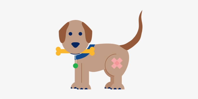 Labrador Retriever, transparent png #4080132