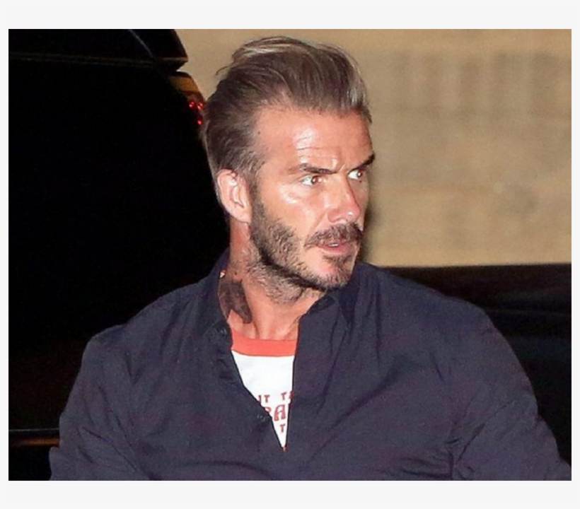 El Ex Jugador De 41 Años - David Beckham New Tattoo Horse, transparent png #4080960