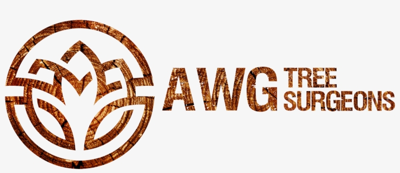 Logo, transparent png #4081643