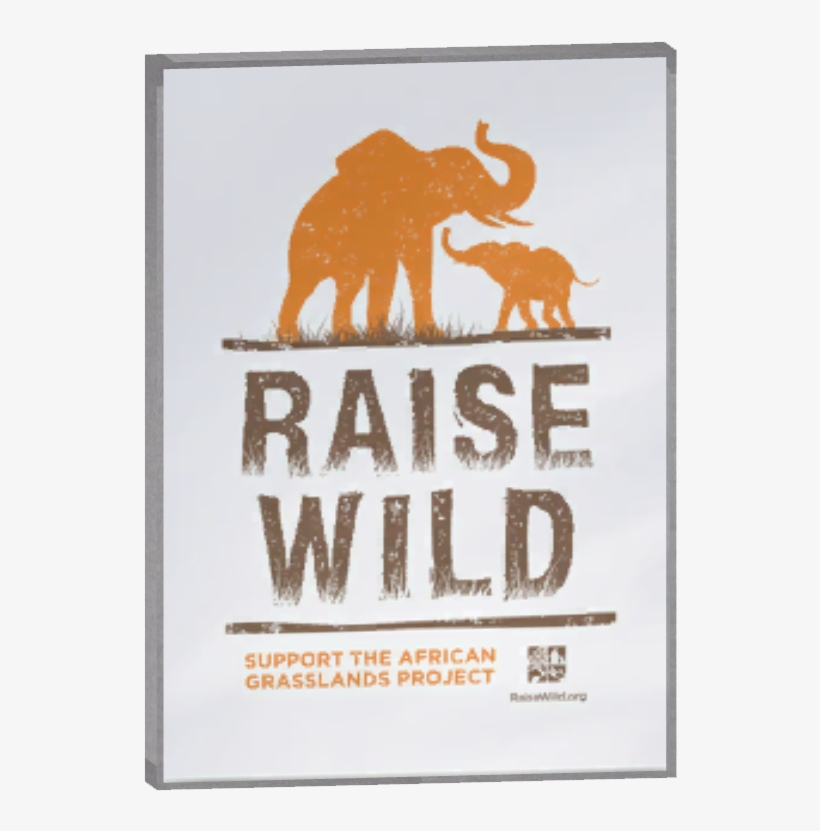 Glass Case Poster 6 - Indian Elephant, transparent png #4081698