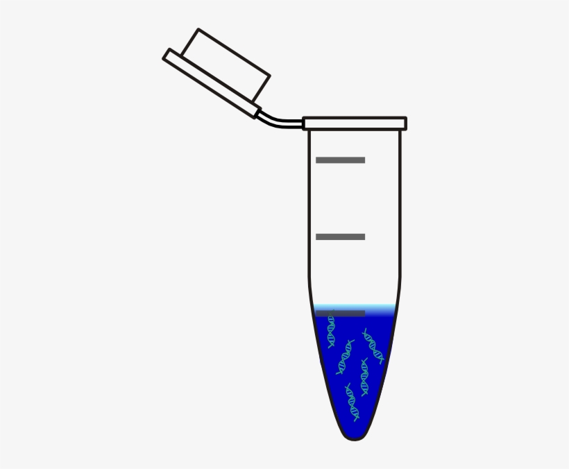 Centrifuge Tube Dna Blue Svg Clip Arts 354 X 596 Px, transparent png #4082780