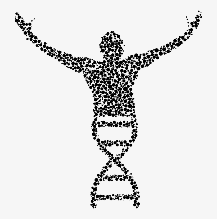 Molecular Biology Dna Biology Clipart Genetics - Biology Clip Art Free, transparent png #4082809